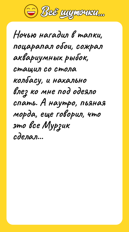 Ночью нагадил в тапки, поцарапал обои, сожрал аквариумных рыбок, стащил