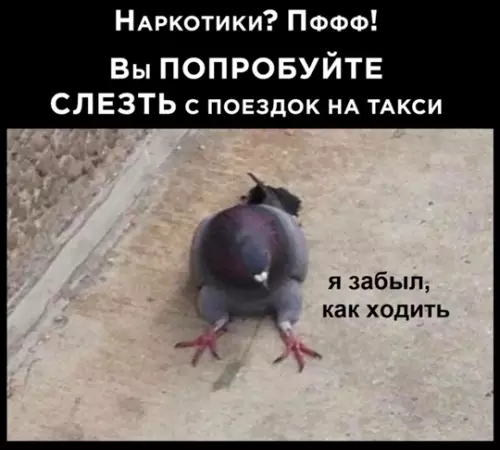 Смешная картинка №771735