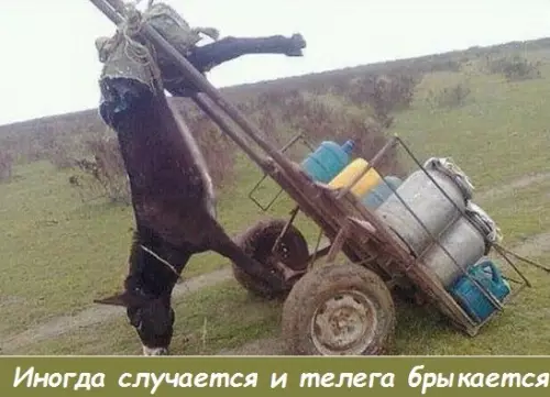 Смешная картинка №332119 Перегруз