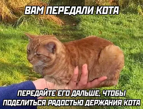 Смешная картинка №694127