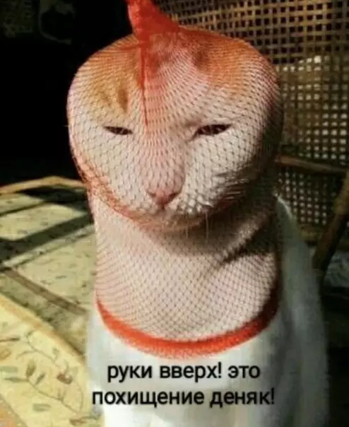 Смешная картинка №518512 Бaбyшкa пpaвa