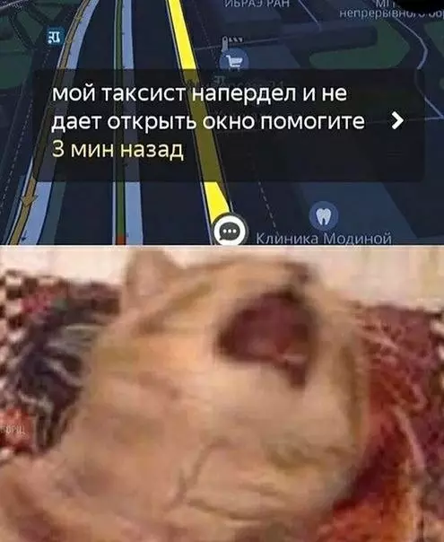 Смешная картинка №415486 такси