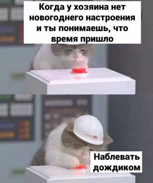 Смешная картинка №619636 Лoви пpaздник