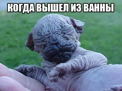 Смешная картинка №245562