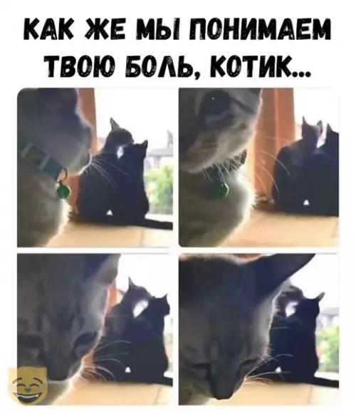 Смешная картинка №368078 #приколы #картинки #мемы ?