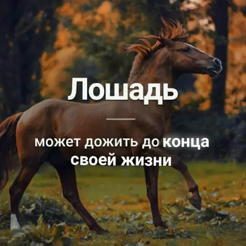 Смешная картинка №353369