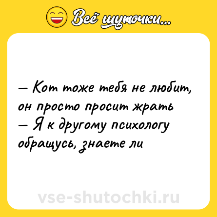Шутка: — Кот тоже тебя не любит, он просто просит жрать <br>— Я к другому психологу обращусь, знаете ли