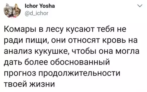 Смешная картинка №300456