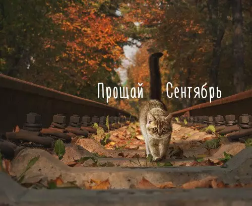 Смешная картинка №211254