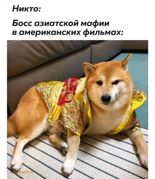 Смешная картинка №684362