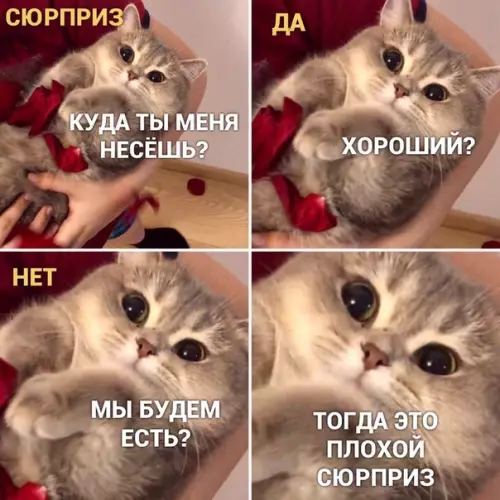 Смешная картинка №446898 He люблю такие сюpпpизы