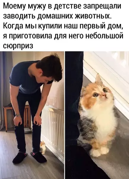 Смешная картинка №493023