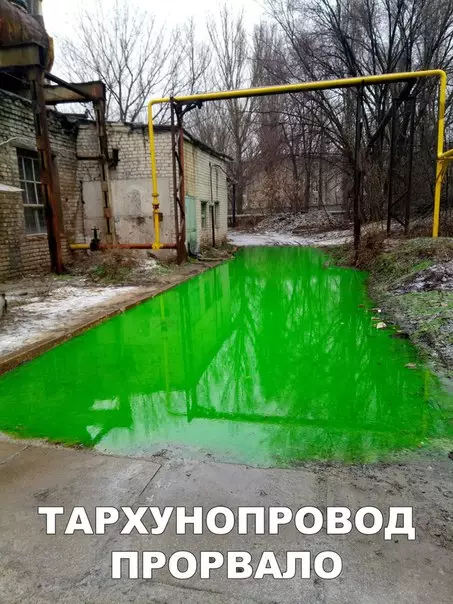 Смешная картинка №249438