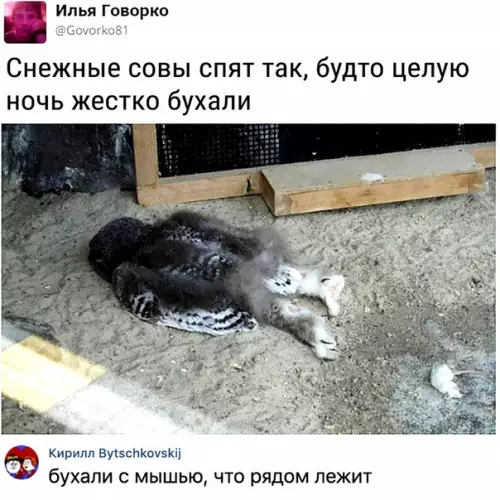 Смешная картинка №366971 Не пейте!