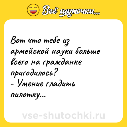 Шутка: Вот что тебе из армейской науки больше всего на гражданке пригодилось?<br>- Умение гладить пилотку...