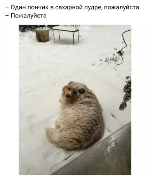 Смешная картинка №221563
