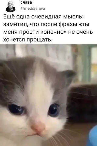 Смешная картинка №656152