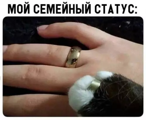 Смешная картинка №665972