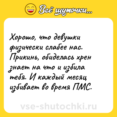 Шутка: Хорoшо, что девушки физически слабее нас. Прикинь, обиделась хрен знает на что и избила тебя. И каждый месяц избивает во время ПМС.