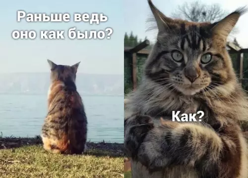 Смешная картинка №505952