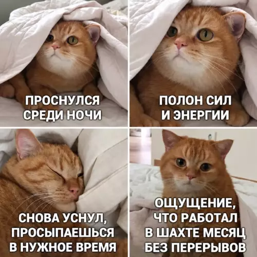 Когда режим сна пошел по пиз#@% 🐈‍⬛ - ПРОСНУЛСЯ СРЕДИ НОЧИ ПОЛОН СИЛ И ЭНЕРГИИ СНОВА УСНУЛ, ПРОСЫПАЕШЬСЯ