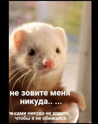 Смешная картинка №671355