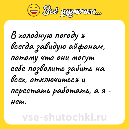 Шутка: В холодную погоду я всегда завидую айфонам, потому что они могут себе позволить забить на всех, отключиться и перестать работать, а я - нет.
