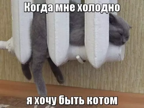 Смешная картинка №220577