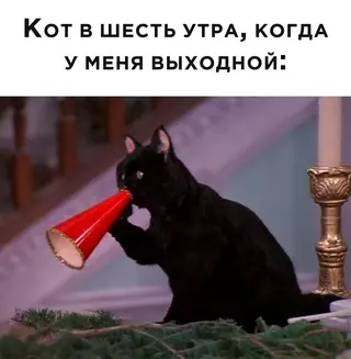 Смешная картинка №683883