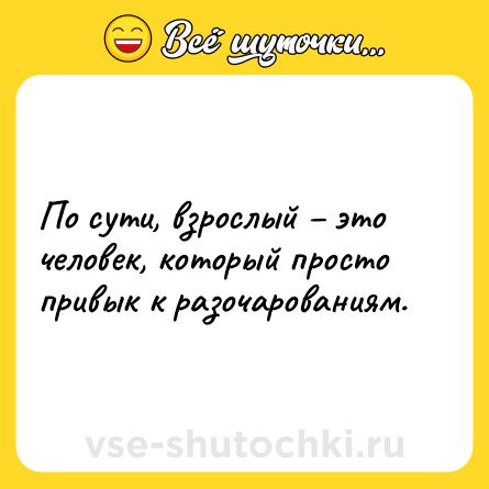 Шутка: По сути, взрослый – это человек, который просто привык к разочарованиям.