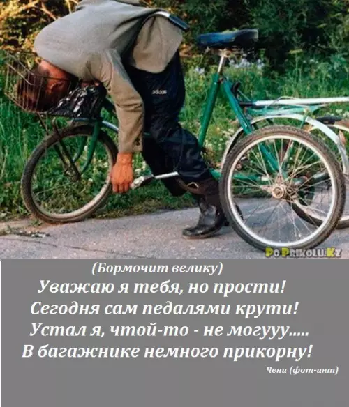 Смешная картинка №201224 ГЛАВНОЕ НОГИ СТОЯТ