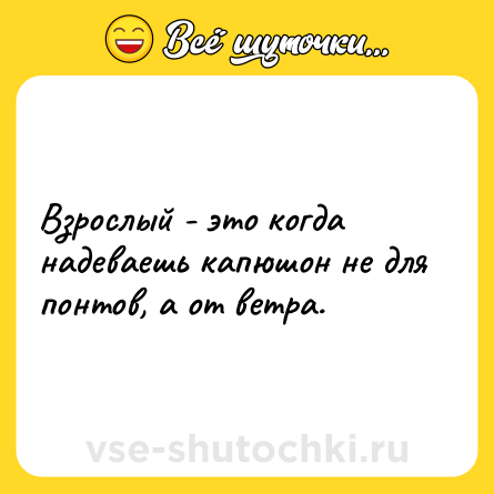 Шутка: Взрослый - это когда надеваешь капюшон не для понтов, а от ветра.