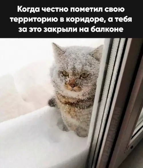Смешная картинка №694258