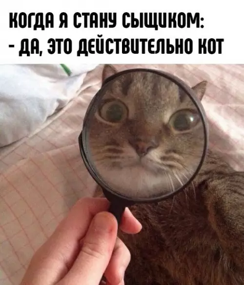 Смешная картинка №289934