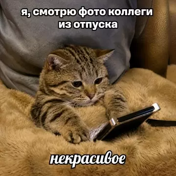 Смешная картинка №815291