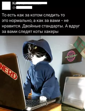 продолжение Смешная картинка №757843