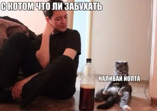 Смешная картинка №246693 Мои планы на 14 февраля.