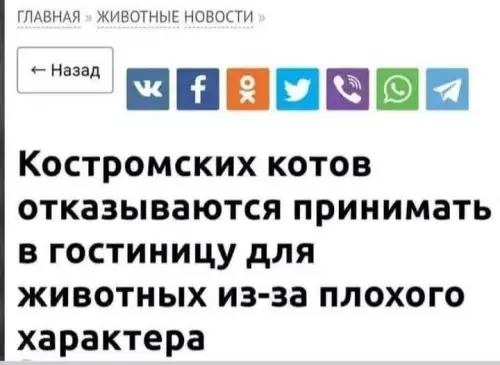 Смешная картинка №792162