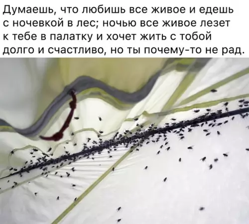 Смешная картинка №584109 Двуличный ты тип