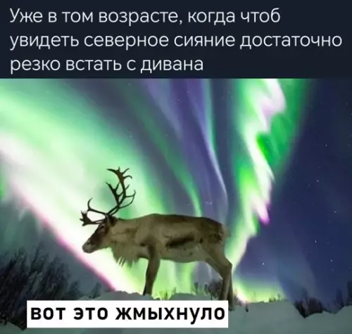 Смешная картинка №764764