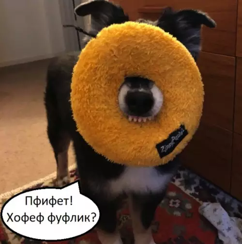 Смешная картинка №310104