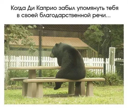 Смешная картинка №185969