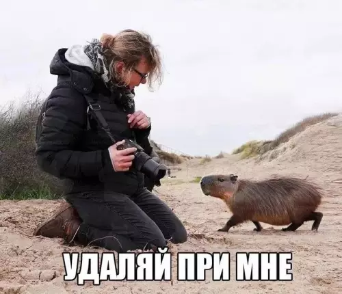 Смешная картинка №730689 Не нравится