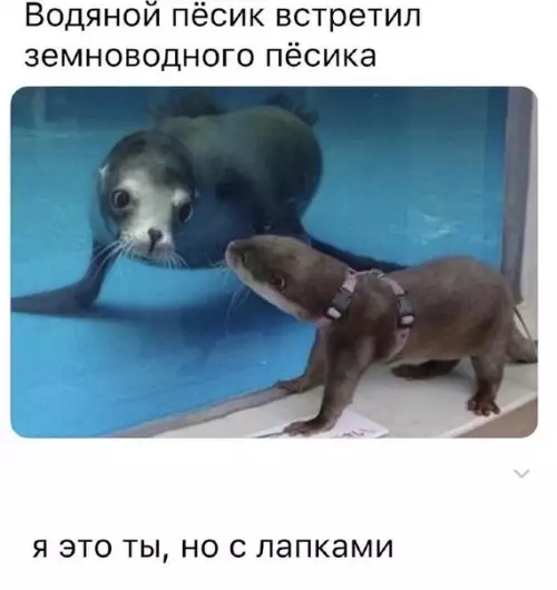 Смешная картинка №472934 Слишком мило:3