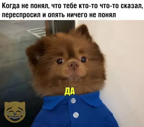 Смешная картинка №372674 #приколы #картинки #мемы ?