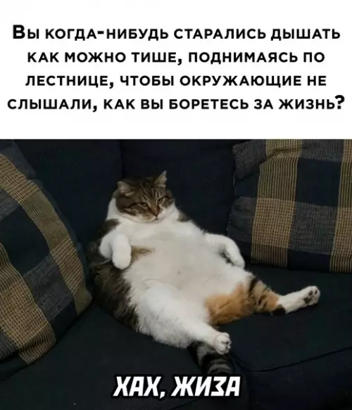 Смешная картинка №620783