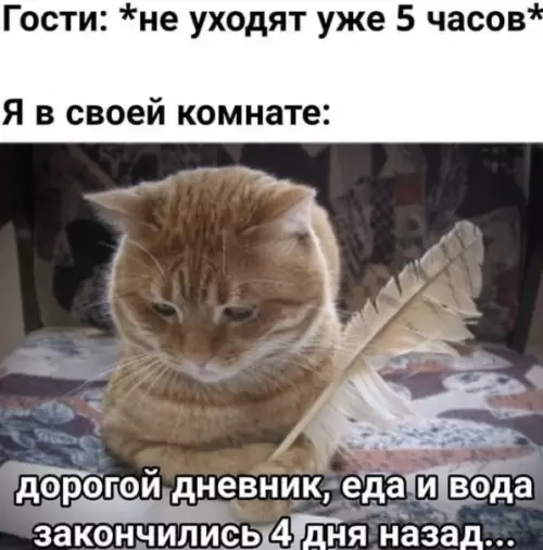 Смешная картинка №487933