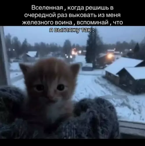 Смешная картинка №799607