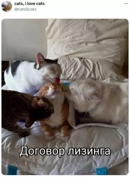 Смешная картинка №773584