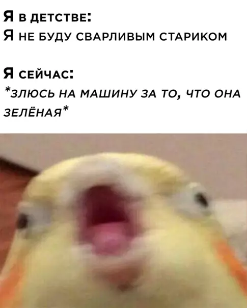Смешная картинка №548768
